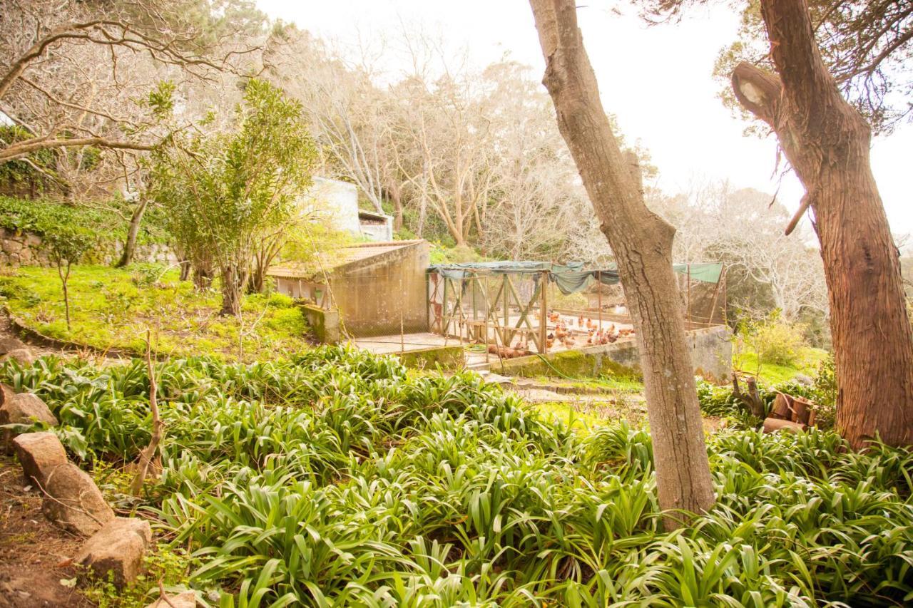 Almaa Sintra Hostel Экстерьер фото